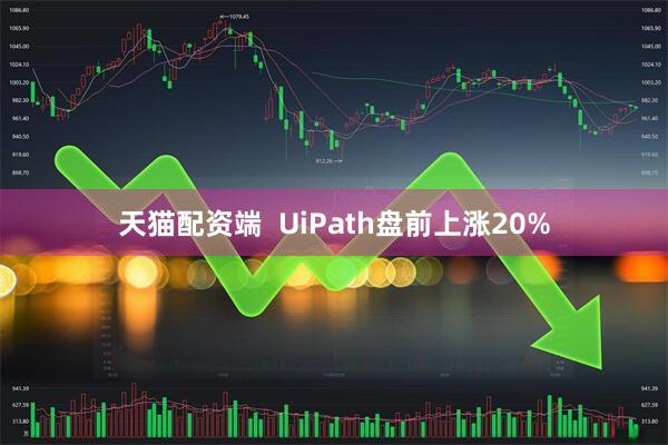 天猫配资端  UiPath盘前上涨20%